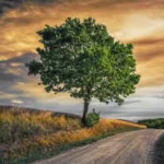 Shaman's Photo